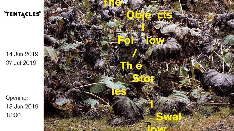 The Objects I Follow / The Stories I Swallow